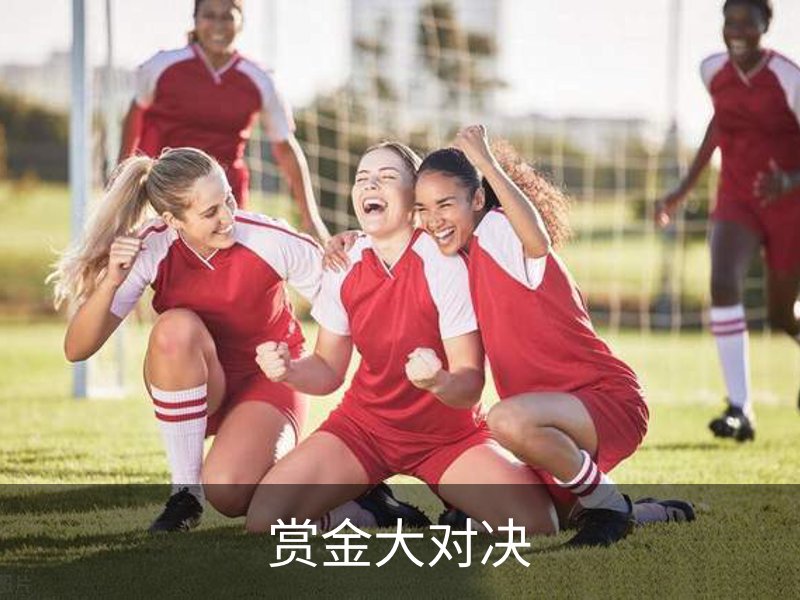 赏金大对决品牌故事